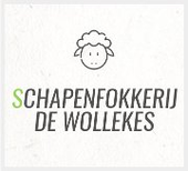 Schapenfokkerij De Wollekes, Meensel-Kiezegem
