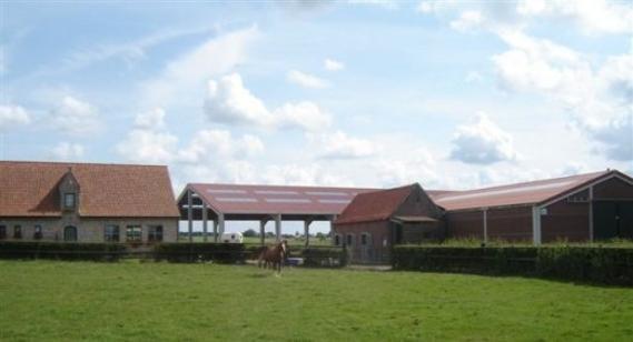 FN Stables