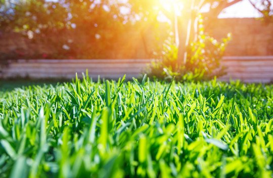 Afsluitingen, Tuin afsluitingen, Aanleg van terrassen, Aanleg van opritten, Tuin renovatiewerken, Grondwerken in Ruddervoorde, West-Vlaanderen