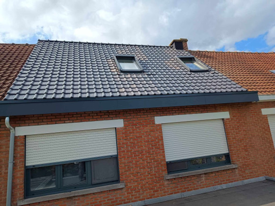 Specialist met dakwerken Niel, Anwerpen