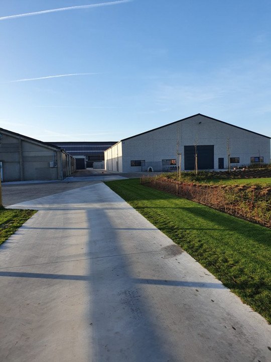 Professionele veefokkerij Kieldrecht (Beveren), Oost-Vlaanderen