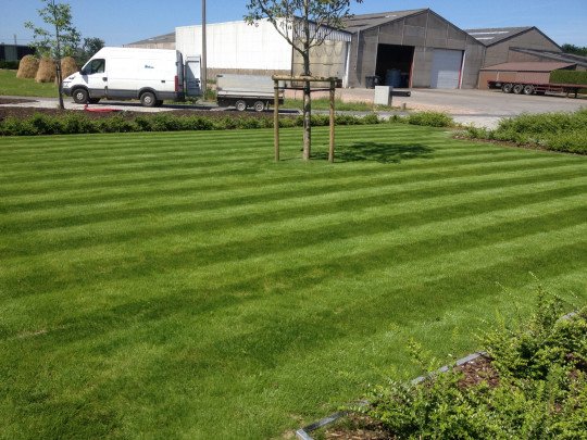 Professionele tuinman in de buurt, Aanleg en oprit van terras, Snoeiwerken , Grondwerken in de tuin, Vakman in tuinarchitectuur, Aanleg van terrassen, Aanleggen van het gazon, Aanleg van kunstgras , Totale tuinrenovatie, Beplantingswerken in Moorslede, West-Vlaanderen