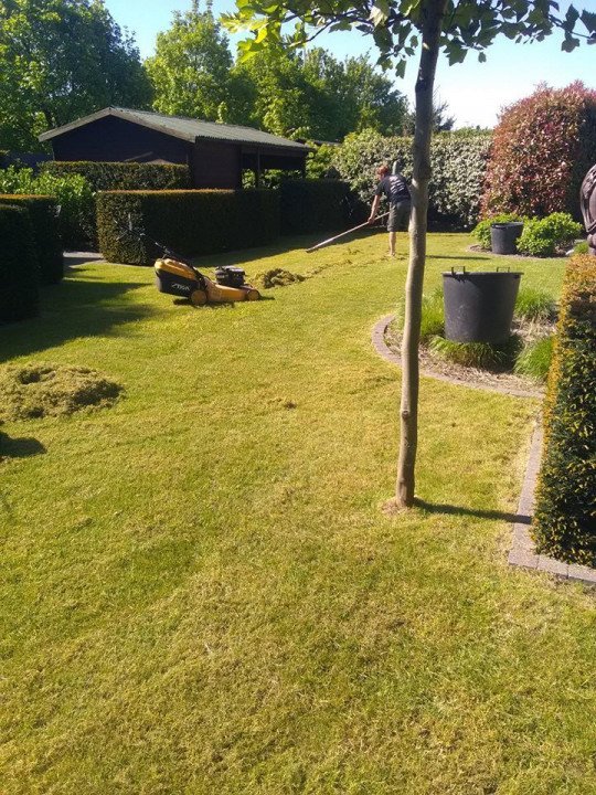 Tuinwerken, Bestratingswerken, Snoeien en vellen van bomen, Snoeiwerken, Omheiningen, Aanplantingen, Tuinnaannemer, Klinkerwerken, Aanleg opritten en terrassen in Opwijk, Vlaams-Brabant