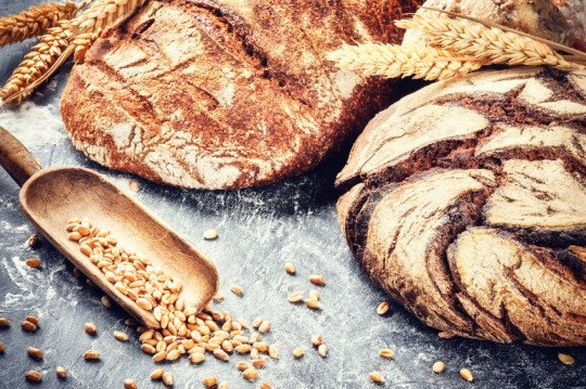 Ambachtelijke bakkerij Maldegem, Oost-Vlaanderen