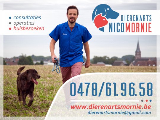 Dierenartsen en -klinieken, Dierenarts, Dierenartsenpraktijk, Dierenkliniek, Gezelschapsdieren, Veterinair 