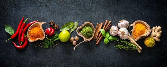 Restaurant met tuinterras, Belgische Franse keuken, Huisdiervriendelijk restaurant, Eethuis, A la carte, Dagmenu, Snacks, Seizoensgebonden suggesties in Hemiksem  (Rupelstreek), Antwerpen