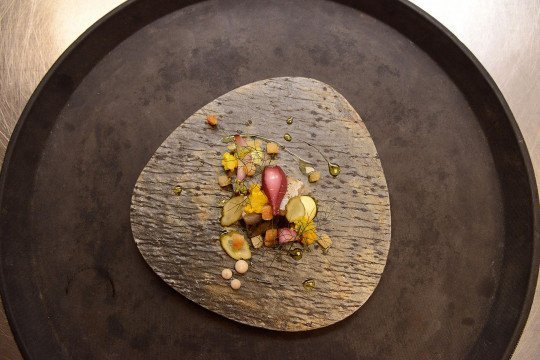 Restaurant met tuinterras, Belgische Franse keuken, Lunchen, Dineren, Restaurant toegankelijk voor kleine huisdieren, Seizoensgebonden gerechten in Brugge, West-Vlaanderen