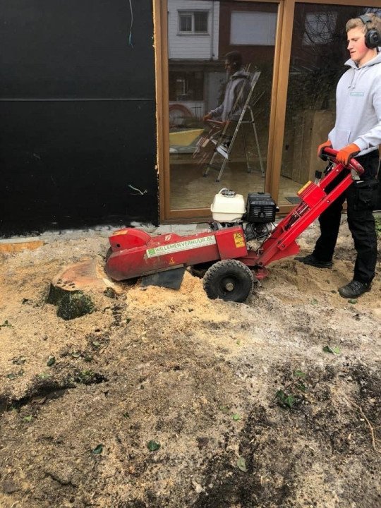 Tuinwerken, Opritten en terrassen, Aanleg opritten, Aanleg van terrassen, Tuinafsluitingen, Tuinrenovatie, Snoeien en vellen van bomen, Heraanleg van tuinen, Tuinverhardingen in Stabroek, Antwerpen