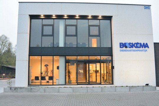 Operaties bij dieren, Dierenarts voor kleine huisdieren, Chirurgie bij dieren, Ziek huisdier, Dierenarts wachtdienst, Inenting kat, Inenting hond, Echografie paard, Onderzoek drachtige merrie, Onderzoek drachtig paard in Aalst, Oost-Vlaanderen