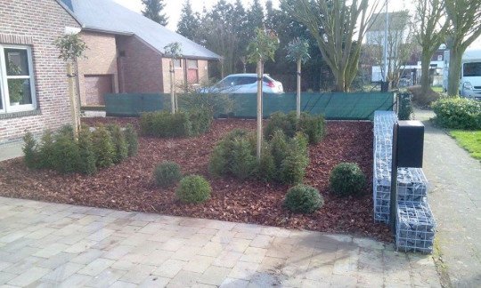 Tuinwerken, Tuinaannemer, Boomverzorging, Snoeien en vellen van bomen, Tuinafsluitingen plaatsen, Tuinomheiningen plaatsen, Hoveniersbedrijf, Aanleg van terrassen, Onderhoud gazon, Beplantingswerken in Willebroek, Antwerpen
