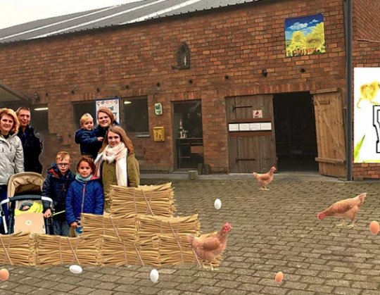 Legkippen, Sierkippen, Kuikens, Duivenartikelen, Duivenvoeding, Duiven benodigdheden, Dierenvoeding, Dierenspeciaalzaak, Kuikens, Kippenboerderij in Kruibeke, Oost-Vlaanderen