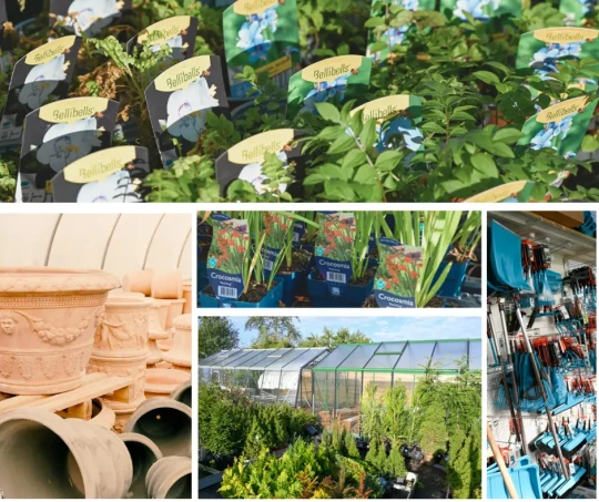 Tuincentrum in de buurt Deinze, Oost-Vlaanderen