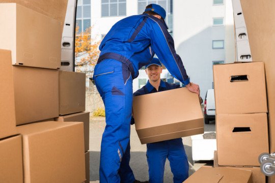 Buitenlandse transport van goederen Waasmunster