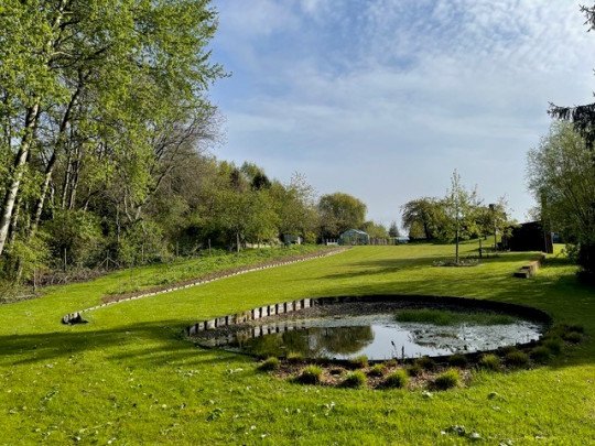 Aanplant en verplanten van bomen Meldert, Oost-Vlaanderen
