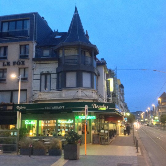 Restaurant met traditionele keuken De Panne, West-Vlaanderen