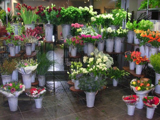 Interflora en Fleurop bloemen bestellen - 't Bloemeke, Puurs
