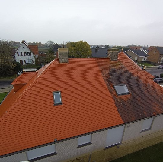 Reiniging van daken Brugge, West-Vlaanderen