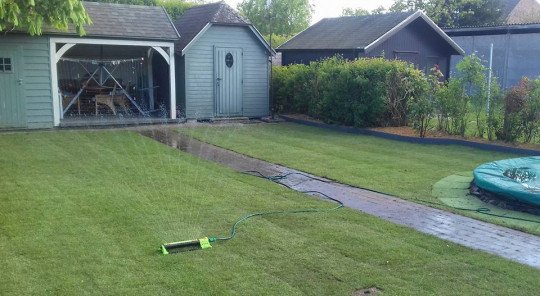 Tuinman in de buurt Beveren, Oost-Vlaanderen