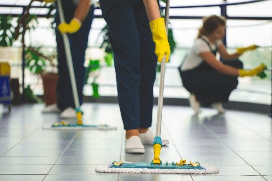 Professionele schoonmaak Wijgmaal (Brabant), Vlaams-Brabant