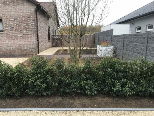 Onderhoud van tuinen Berg (Kampenhout), Vlaams-Brabant