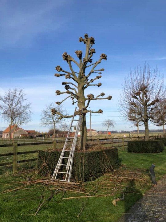 Tuinaannemer Zedelgem, West-Vlaanderen