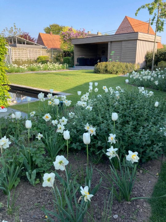 Tuinnaanemer Moorsele, West-Vlaanderen