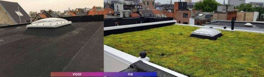 Algemene dakwerken Zaventem, Vlaams-Brabant