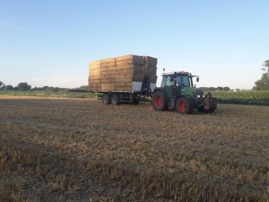 Loonwerker landbouw Elversele (Temse), Oost-Vlaanderen
