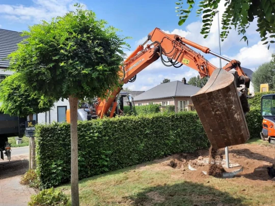 Egaliseren van terreinen Elversele (Temse), Oost-Vlaanderen