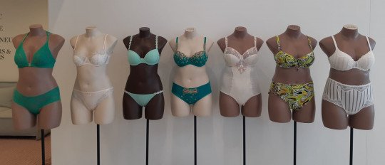 Luxe lingeriecollectie Brugge, West-Vlaanderen
