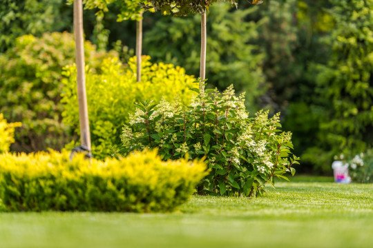 Totale tuinprojecten Baal (Tremelo), Vlaams-Brabant