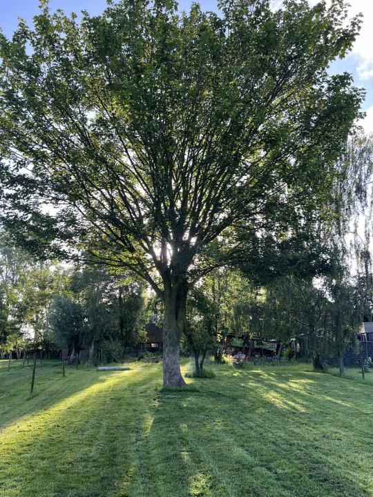 Aanleg van tuinen Oosteeklo (Assenede), Oost-Vlaanderen