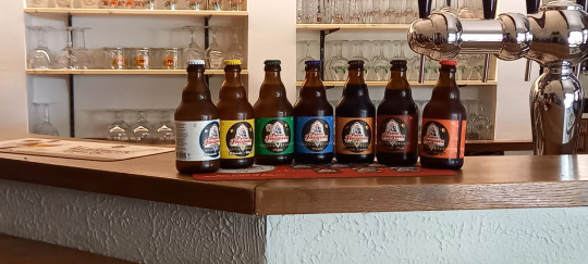 Café met streekbieren Herselt, Antwerpen