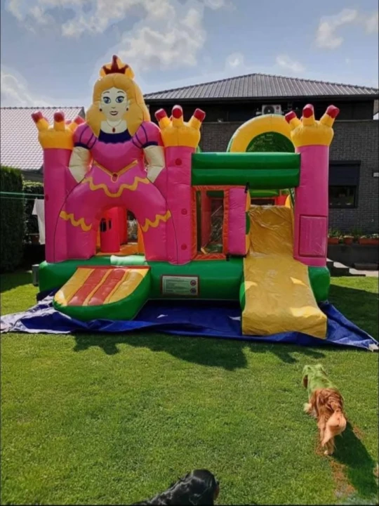 Verhuur van springkastelen Beerse (Antwerpen)