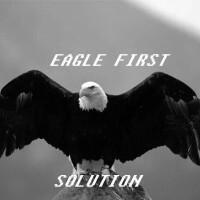 Industriële herstellingen - Eagle First Solutions BVBA, Lovendegem