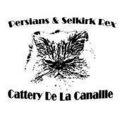 Cattery De La Canaille, Buggenhout