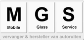 Mobile Glass Service, Hasselt (Stokrooie)