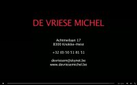 Decoratieve schilder technieken - De Vriese Michel, Knokke-Heist