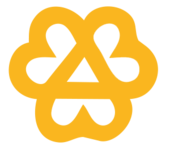 Zorgteam Ieper-Langemark, Ieper