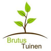 Tuinwerken - Brutus Tuinen, Dilsen-stokkem