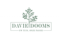Nieuwe tuin laten aanleggen - Dooms Davie, Wieze