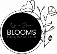 Bestellen van droogboeketten - Blooms, Vorselaar