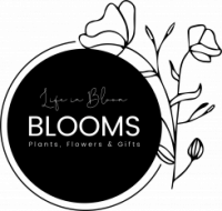 Bestellen van droogboeketten - Blooms, Vorselaar