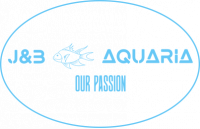 Aquariumwinkel - J&B Aquaria, Ruiselede