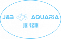 Aquariumwinkel - J&B Aquaria, Ruiselede