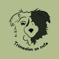 Hond laten trimmen - Trimsalon Xo Cute, Diepenbeek